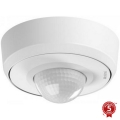 Steinel 088019 - Détecteur de mouvement extérieur avec un détecteur de présence PD-24 ECO KNX 360° IP54 blanc