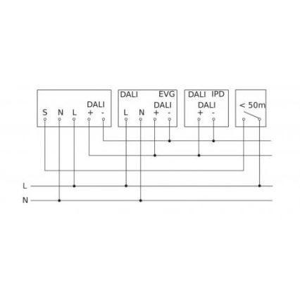 Steinel 088255 - Détecteur de mouvement encastrable avec un détecteur de présence PD-24 ECO DALI-2 360° blanc