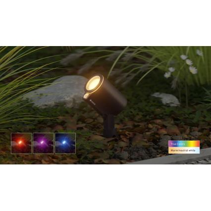 Steinel 089344 - Lampe extérieure LED RGBW avec détecteur LED/7,9W/24V IP65