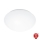 STEINEL 56032 - Luminaire salle de bain LED avec détecteur RS PRO LED/9,5W/230V IP54