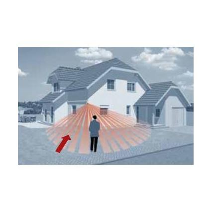 STEINEL 603717 - Détecteur infrarouge extérieur IS 2180 2 noir IP54