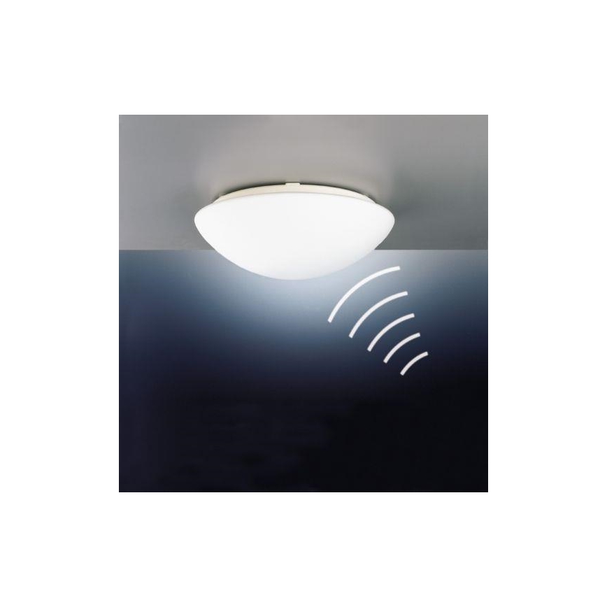 STEINEL 738013-RS16L - Plafonnier extérieur avec capteur 1xE27/60W/230V IP44