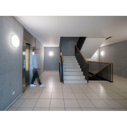 Steinel 067748 - Plafonnier LED à intensité variable avec détecteur RS PRO R20 PLUS 15,86W/230V IP40 3000K