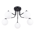 Suspension-barre ASTRAL 5xG9/8W/230V noir
