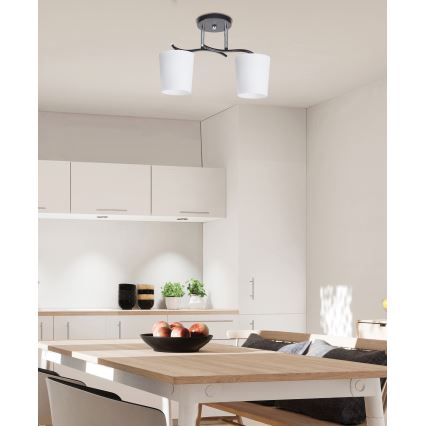 Suspension-barre ESNYR 2xE27/40W/230V noir/blanc