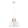 Suspension CLIP sur câble 1xE27/40W/230V blanc/marron