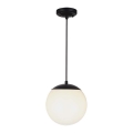 Suspension extérieure sur câble 1xE27/60W/230V Ø 20 cm IP44 noire