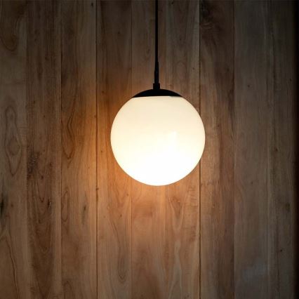 Suspension extérieure sur câble 1xE27/60W/230V Ø 20 cm IP44 noire