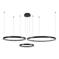 Suspension filaire 3xLED/19W/230V 3000K noir