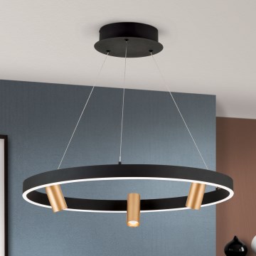 Suspension filaire à intensité variable BERLIN LED/50W/230V noir/doré