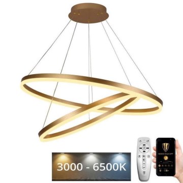 Suspension filaire à intensité variable LED/100W/230V 3000-6500K d. 80 cm + Télécommande