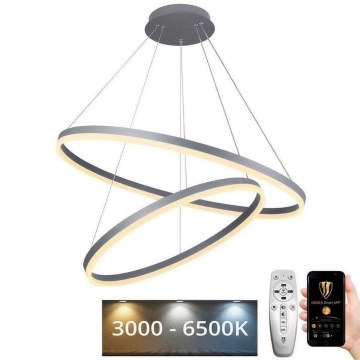 Suspension filaire à intensité variable LED/100W/230V 3000-6500K d. 80 cm + Télécommande
