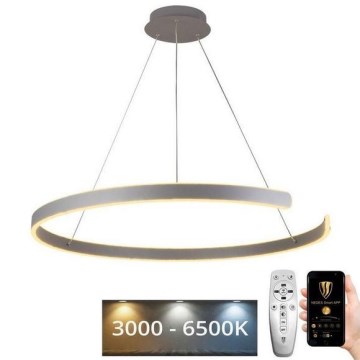 Suspension filaire à intensité variable LED/100W/230V 3000-6500K d. 80 cm + Télécommande