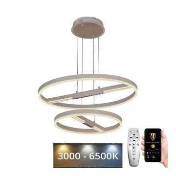 Suspension filaire à intensité variable LED/100W/230V 3000-6500K + télécommande