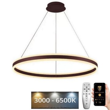 Suspension filaire à intensité variable LED/110W/230V 3000-6500K d. 80 cm + Télécommande