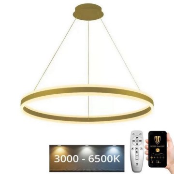 Suspension filaire à intensité variable LED/110W/230V 3000-6500K d. 80 cm + Télécommande