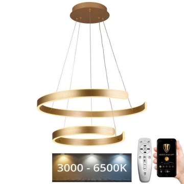 Suspension filaire à intensité variable LED/120W/230V 3000-6500K d. 60 cm + Télécommande