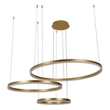 Suspension filaire à intensité variable LED/125W/230V 3000-6500K d. 80 cm + Télécommande