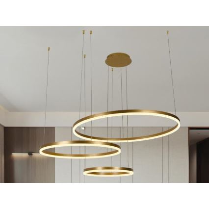Suspension filaire à intensité variable LED/125W/230V 3000-6500K + Télécommande
