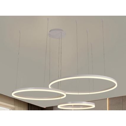 Suspension filaire à intensité variable LED/125W/230V 3000-6500K + Télécommande