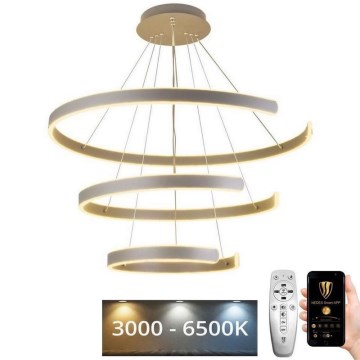 Suspension filaire à intensité variable LED/220W/230V 3000-6500K d. 80 cm + Télécommande