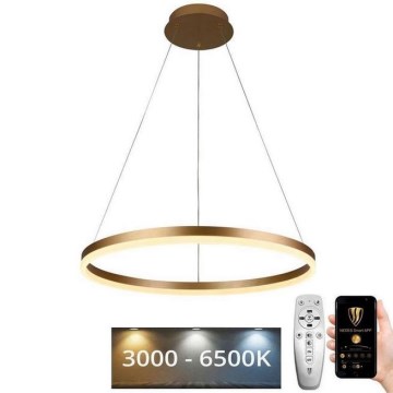 Suspension filaire à intensité variable LED/42W/230V 3000-6500K d. 60 cm + Télécommande