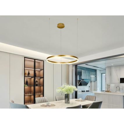 Suspension filaire à intensité variable LED/42W/230V 3000-6500K d. 60 cm + Télécommande
