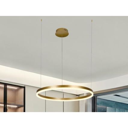 Suspension filaire à intensité variable LED/42W/230V 3000-6500K d. 60 cm + Télécommande