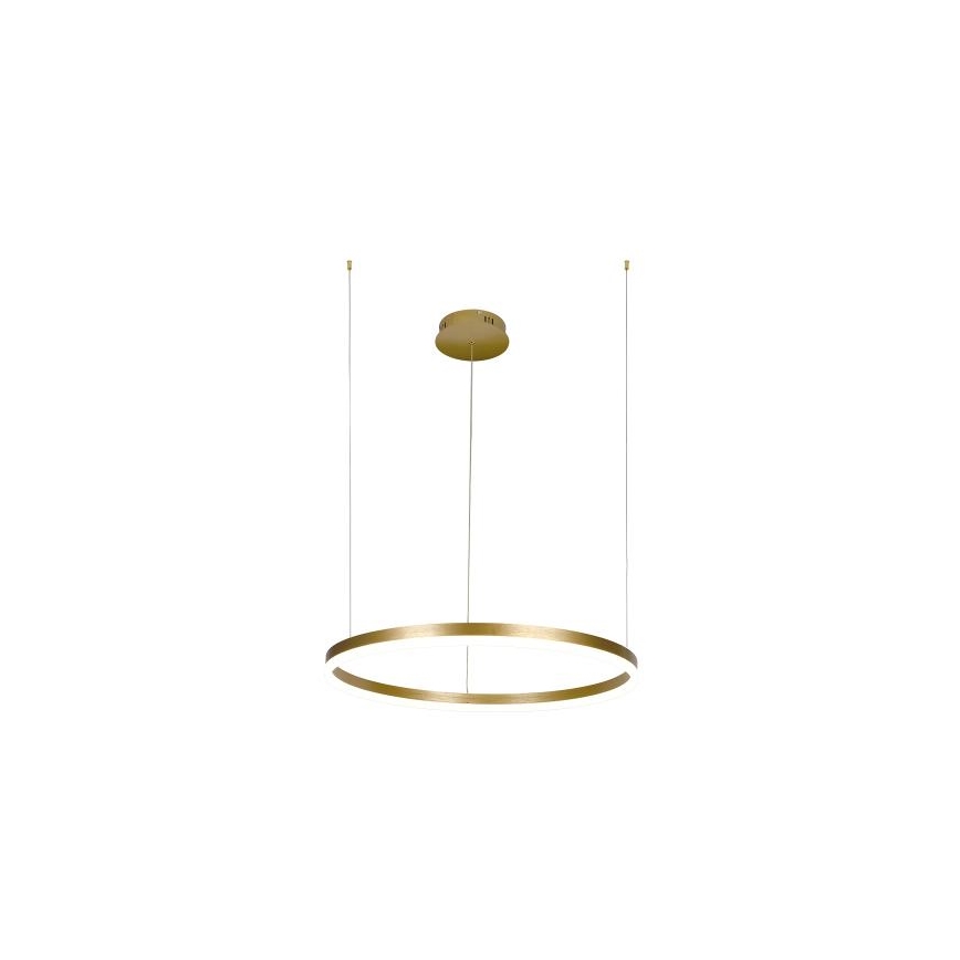 Suspension filaire à intensité variable LED/42W/230V 3000-6500K d. 60 cm + Télécommande