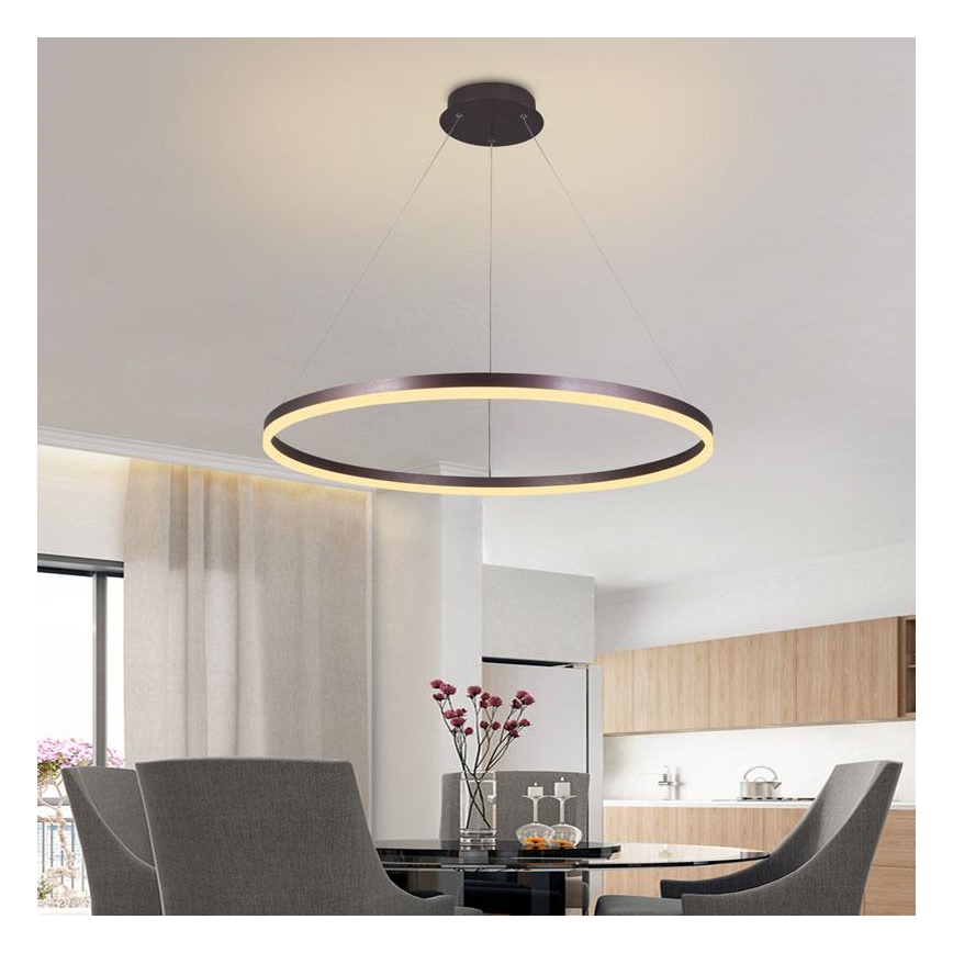 Suspension filaire à intensité variable LED/55W/230V 3000-6500K + télécommande