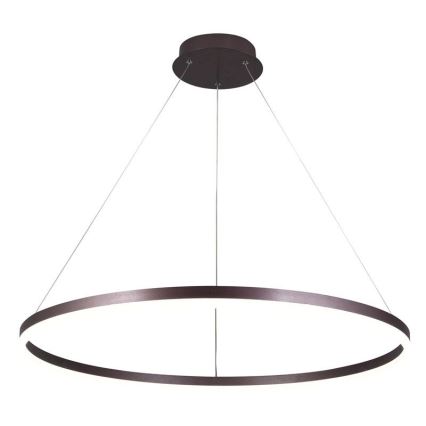 Suspension filaire à intensité variable LED/55W/230V 3000-6500K + télécommande