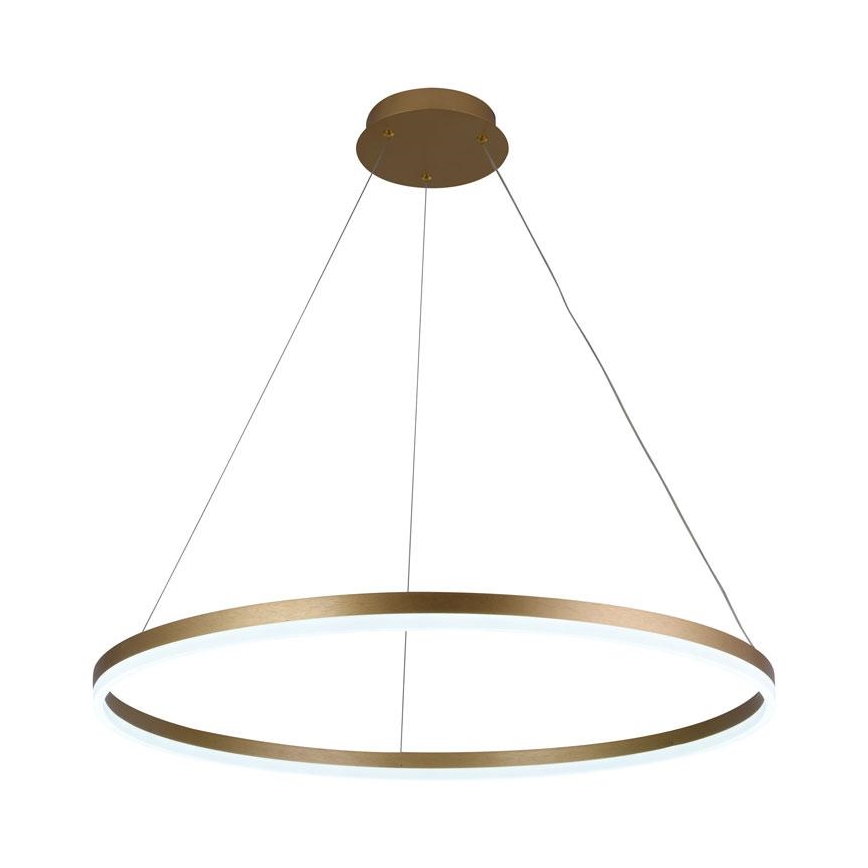 Suspension filaire à intensité variable LED/55W/230V 3000-6500K + télécommande