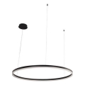 Suspension filaire à intensité variable LED/55W/230V 3000-6500K + Télécommande