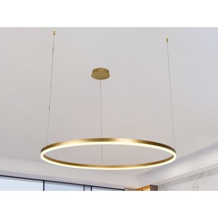 Suspension filaire à intensité variable LED/55W/230V 3000-6500K + Télécommande
