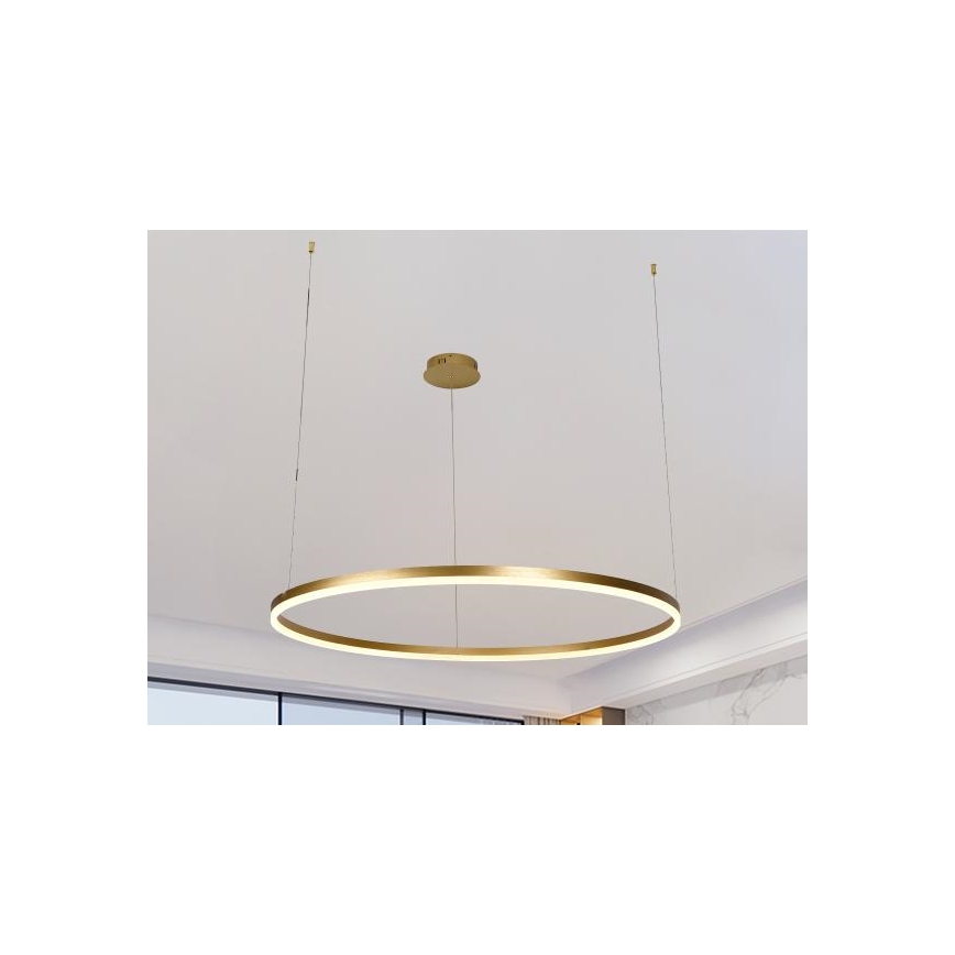 Suspension filaire à intensité variable LED/55W/230V 3000-6500K + Télécommande