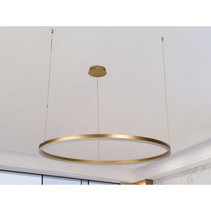 Suspension filaire à intensité variable LED/55W/230V 3000-6500K + Télécommande