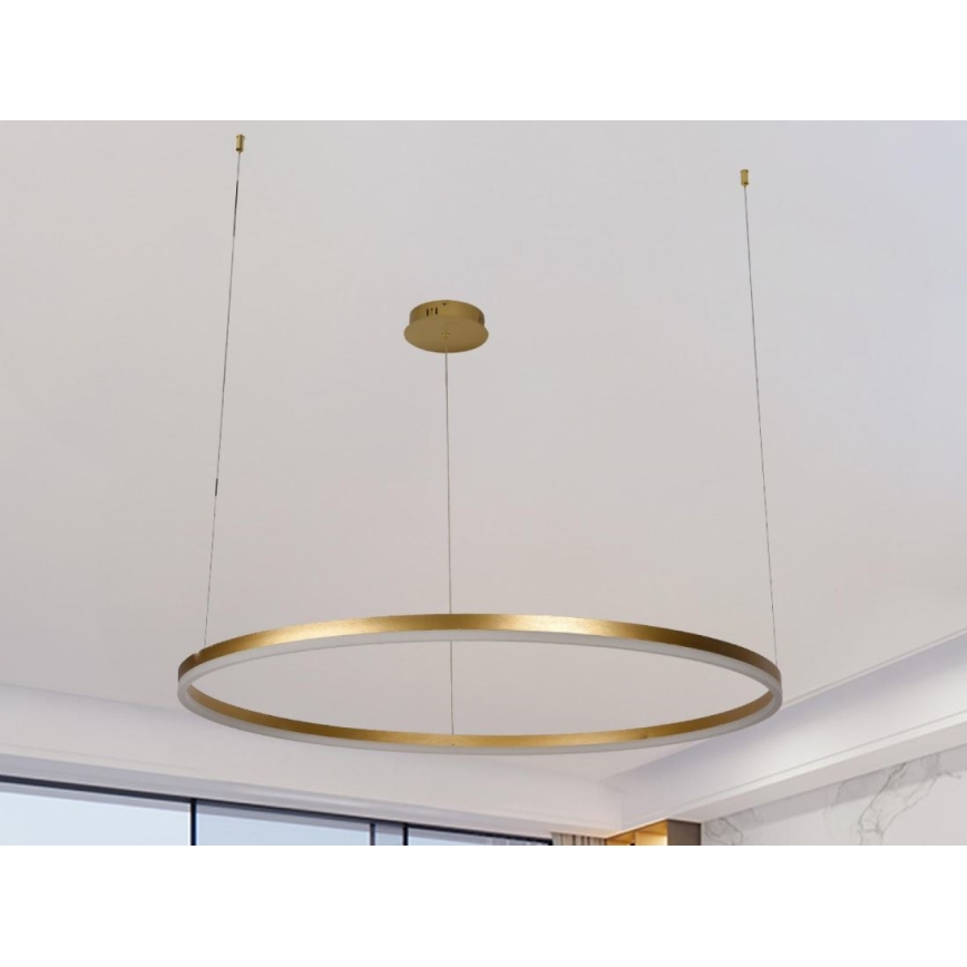 Suspension filaire à intensité variable LED/55W/230V 3000-6500K + Télécommande