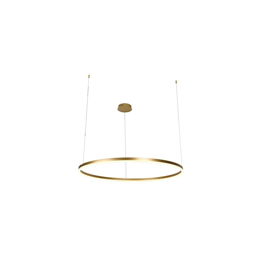 Suspension filaire à intensité variable LED/55W/230V 3000-6500K + Télécommande