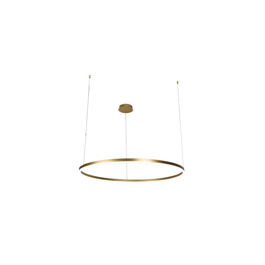 Suspension filaire à intensité variable LED/55W/230V 3000-6500K + Télécommande