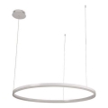 Suspension filaire à intensité variable LED/55W/230V 3000-6500K + Télécommande