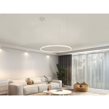 Suspension filaire à intensité variable LED/55W/230V 3000-6500K + Télécommande
