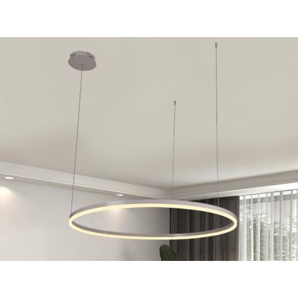Suspension filaire à intensité variable LED/55W/230V 3000-6500K + Télécommande