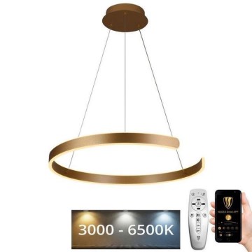 Suspension filaire à intensité variable LED/70W/230V 3000-6500K d. 60 cm + Télécommande