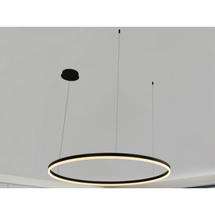 Suspension filaire à intensité variable LED/72W/230V 3000-6500K + Télécommande