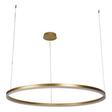 Suspension filaire à intensité variable LED/72W/230V 3000-6500K + Télécommande