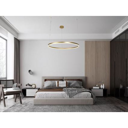 Suspension filaire à intensité variable LED/72W/230V 3000-6500K + Télécommande