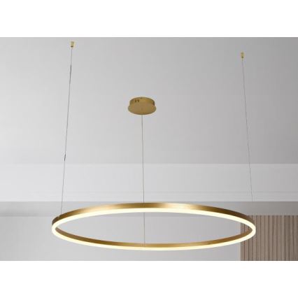 Suspension filaire à intensité variable LED/72W/230V 3000-6500K + Télécommande
