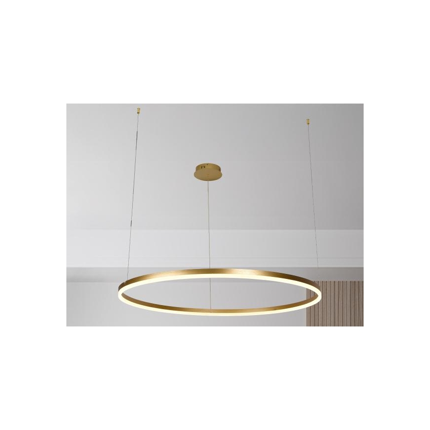 Suspension filaire à intensité variable LED/72W/230V 3000-6500K + Télécommande