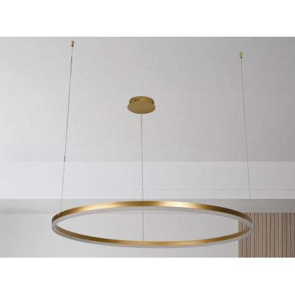Suspension filaire à intensité variable LED/72W/230V 3000-6500K + Télécommande
