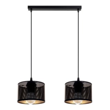 Suspension filaire ALDO 2xE27/60W/230V noir